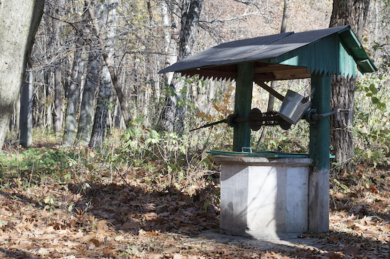 Water well in forest